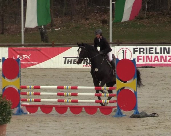 Reitturnier Westergellersen 2022