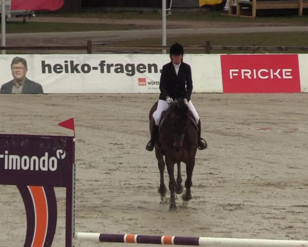 Reitturnier Westergellersen 2022