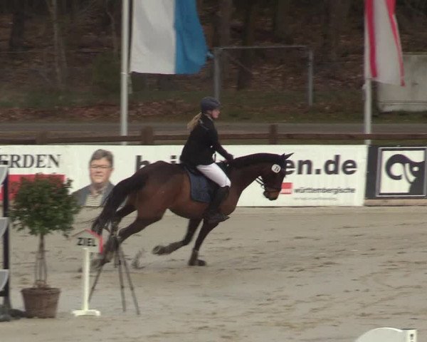 Reitturnier Westergellersen 2022