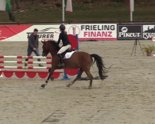 Reitturnier Westergellersen 2022