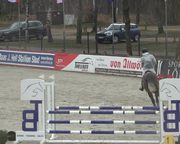 Reitturnier Westergellersen 2022