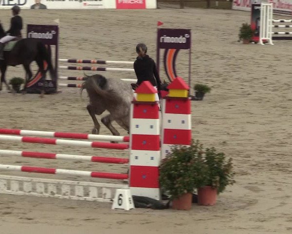 Reitturnier Westergellersen 2022