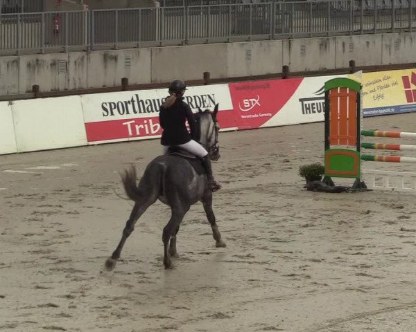 Reitturnier Westergellersen 2022