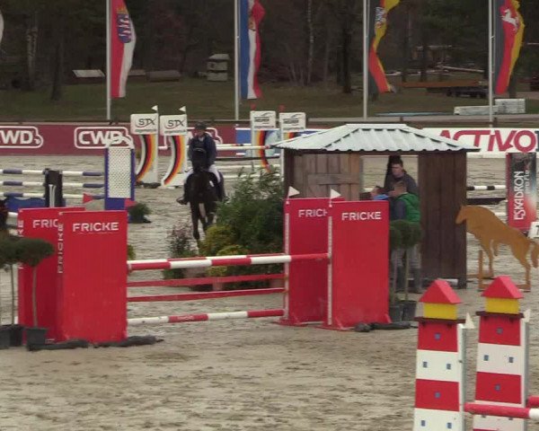 Reitturnier Westergellersen 2022