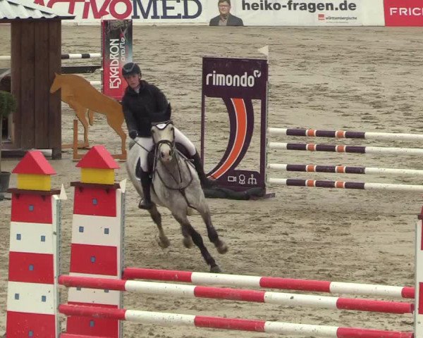 Reitturnier Westergellersen 2022