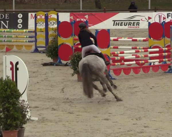Reitturnier Westergellersen 2022
