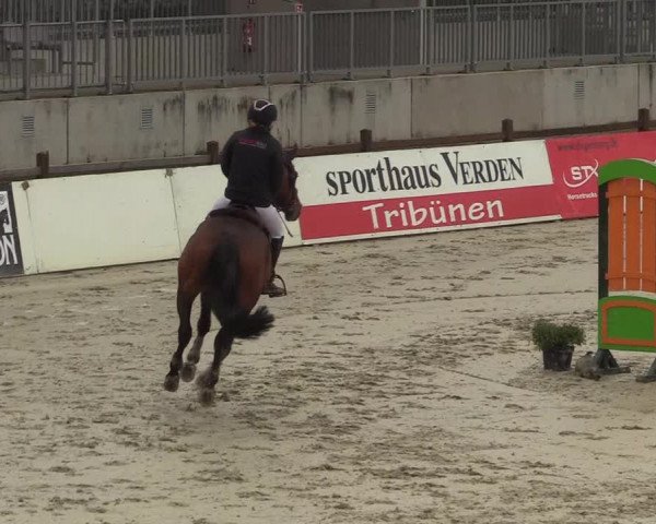 Reitturnier Westergellersen 2022