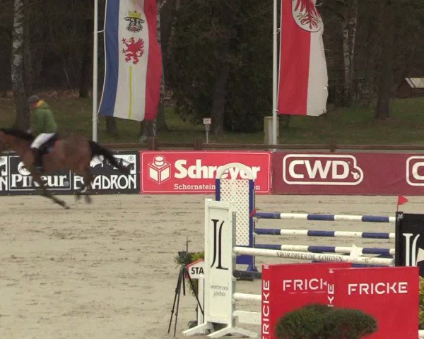 Reitturnier Westergellersen 2022