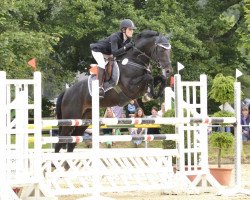 Deckhengst Con Cornet S (Westfale, 2004, von Cornet Obolensky)
