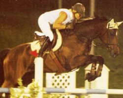Springpferd Riana du Mont CH (Schweizer Warmblut, 2004, von Ramonus)