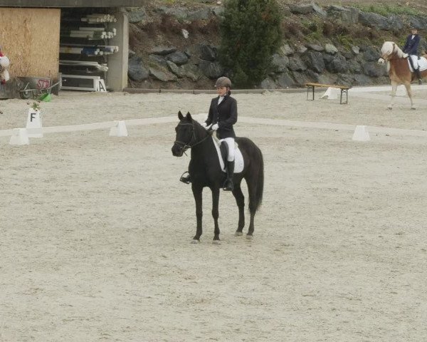 Reitturnier K, St. Margarethen-Stückler 2022