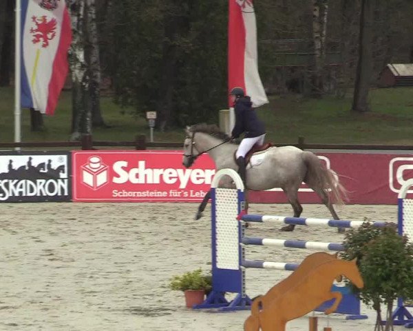 Reitturnier Westergellersen 2022