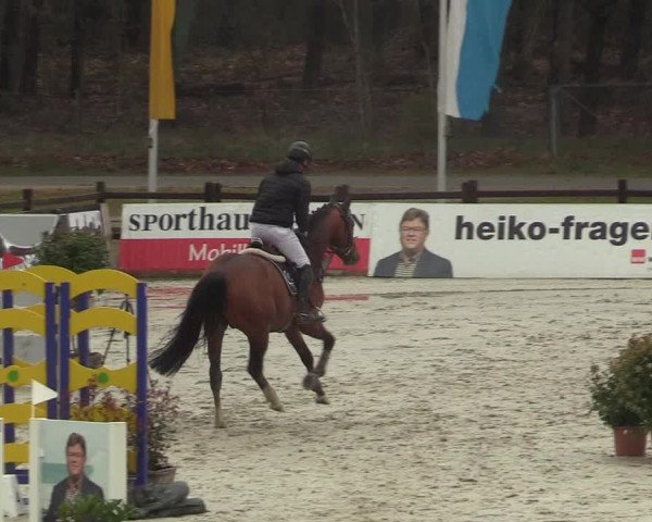 Reitturnier Westergellersen 2022