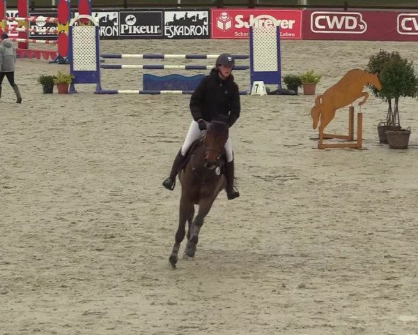 Reitturnier Westergellersen 2022