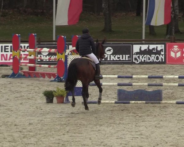 Reitturnier Westergellersen 2022