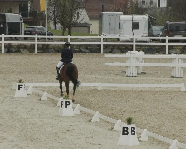 Reitturnier K, St. Margarethen-Stückler 2022