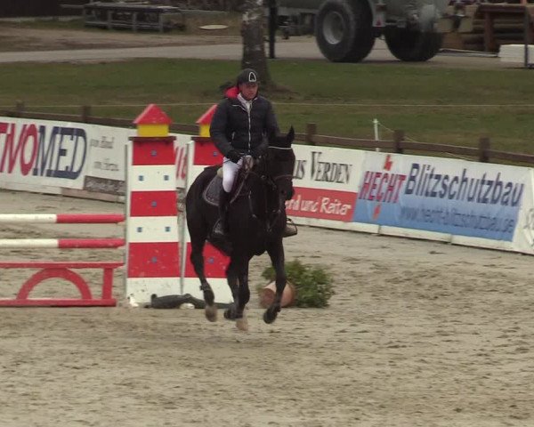 Reitturnier Westergellersen 2022