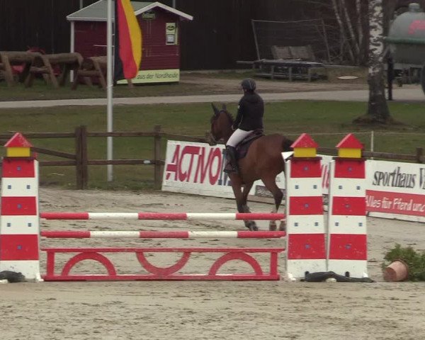 Reitturnier Westergellersen 2022