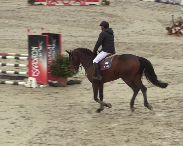 Reitturnier Westergellersen 2022