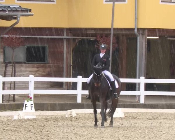 Reitturnier K, St. Margarethen-Stückler 2022