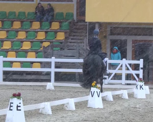 Reitturnier K, St. Margarethen-Stückler 2022