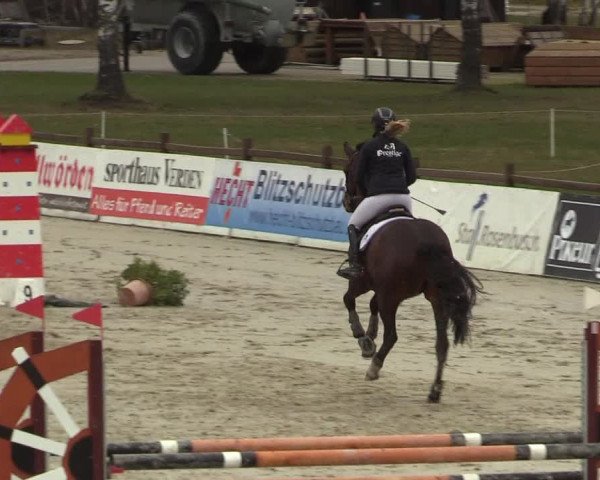 Reitturnier Westergellersen 2022