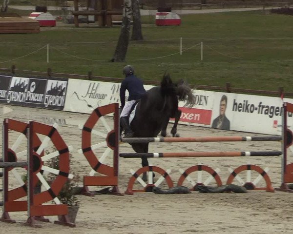 Reitturnier Westergellersen 2022
