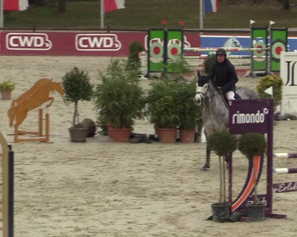 Reitturnier Westergellersen 2022