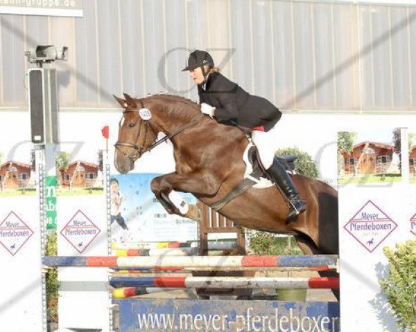 dressage horse Mc Beth (Hanoverian, 1999, from Marbod)