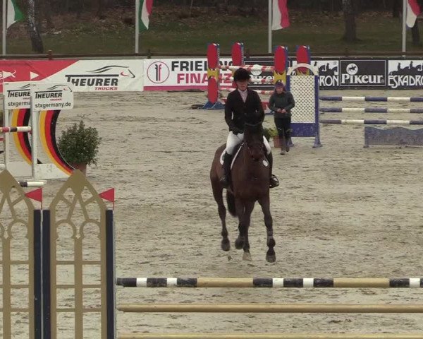 Reitturnier Westergellersen 2022