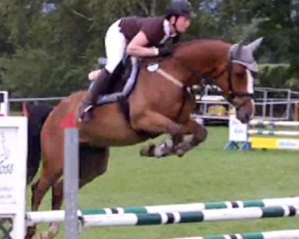 jumper Löllebröd (Holsteiner, 2007, from Lancer II)