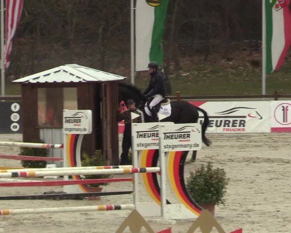 Reitturnier Westergellersen 2022