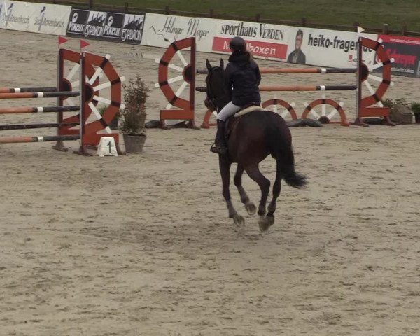 Reitturnier Westergellersen 2022