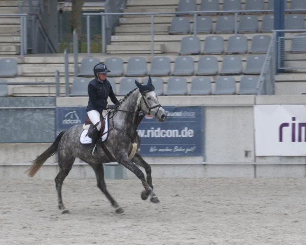 Reitturnier Aachen-Soers 2022
