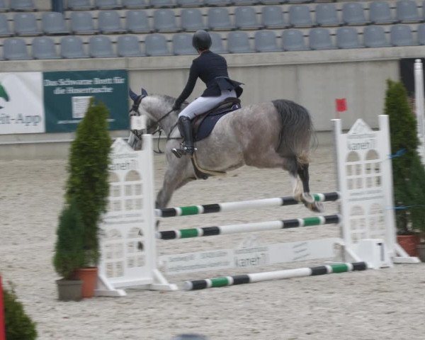 Reitturnier Aachen-Soers 2022