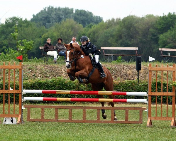 jumper Dulfinas faux pas (Pony without race description, 2002, from Unbekannt Pony)