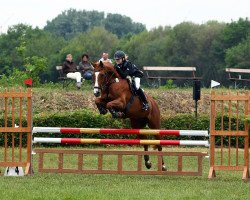 jumper Dulfinas faux pas (Pony without race description, 2002, from Poldy)