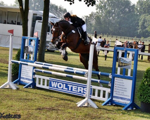jumper Montendor (Westphalian, 2009, from Montendro)