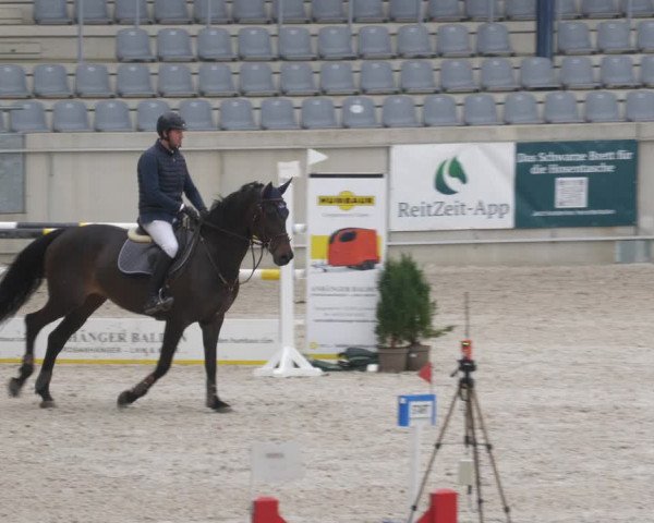 Reitturnier Aachen-Soers 2022