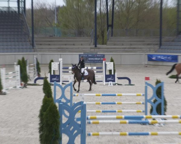 Reitturnier Aachen-Soers 2022