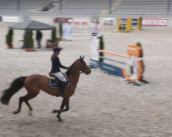 Reitturnier Aachen-Soers 2022