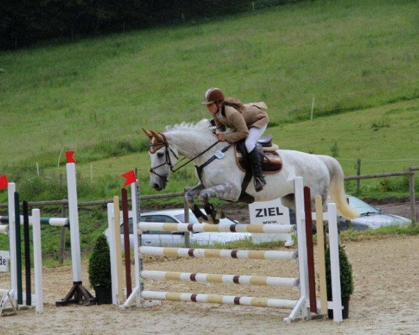 jumper La Perlaa (KWPN (Royal Dutch Sporthorse), 2001, from Larino)