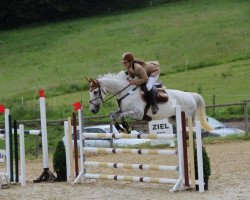 jumper La Perlaa (KWPN (Royal Dutch Sporthorse), 2001, from Larino)