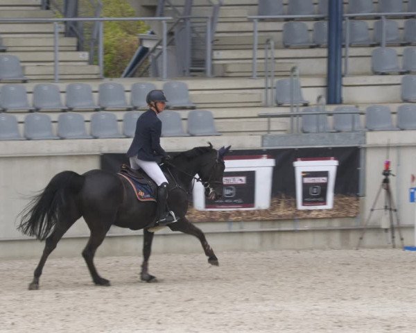Reitturnier Aachen-Soers 2022