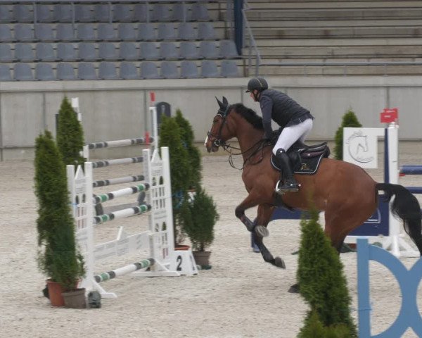 Reitturnier Aachen-Soers 2022