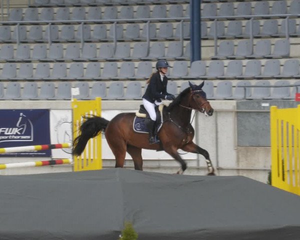 Reitturnier Aachen-Soers 2022