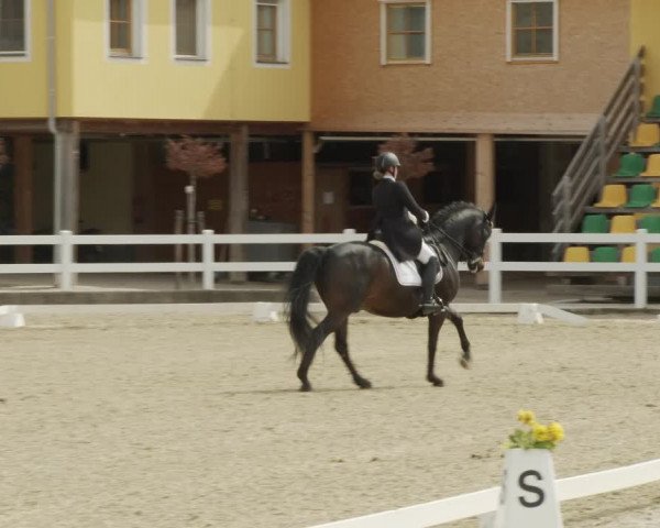 Reitturnier K, St. Margarethen-Stückler 2022