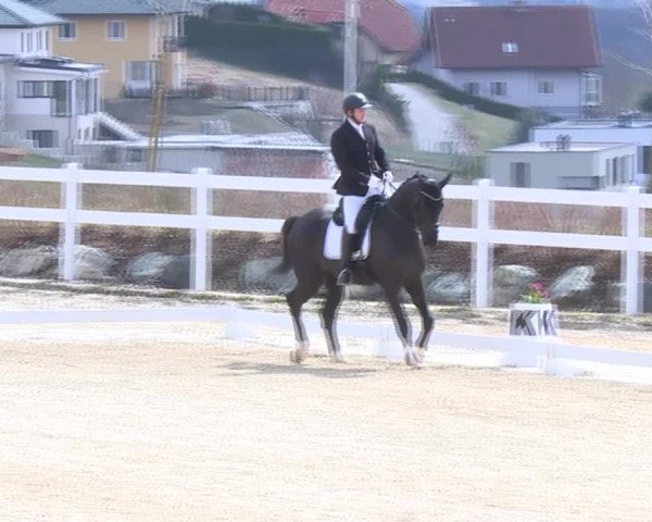 Reitturnier K, St. Margarethen-Stückler 2022
