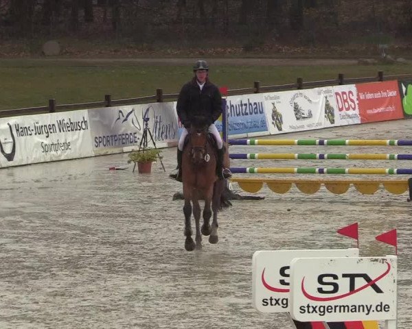 Reitturnier Westergellersen 2022