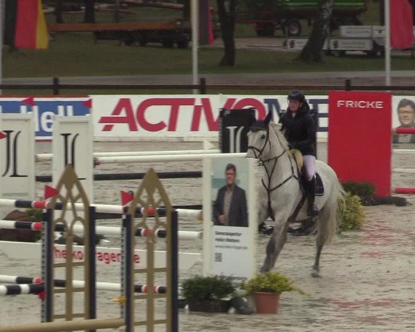 Reitturnier Westergellersen 2022